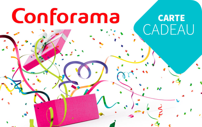 CARTE CADEAU CASTORAMA intelligence overview