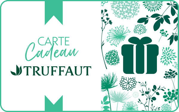 CARTE CADEAU CASTORAMA visual data 2